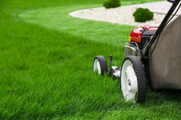 Grow your Lawn Topdressing business